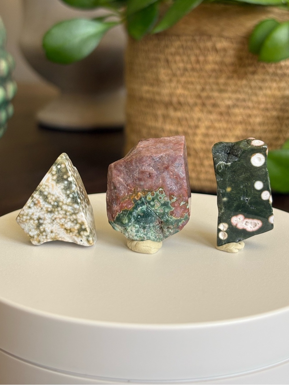 Small Ocean Jasper Crystal Set - Polished Sea Jasper Bundle - Orbicular Jasper